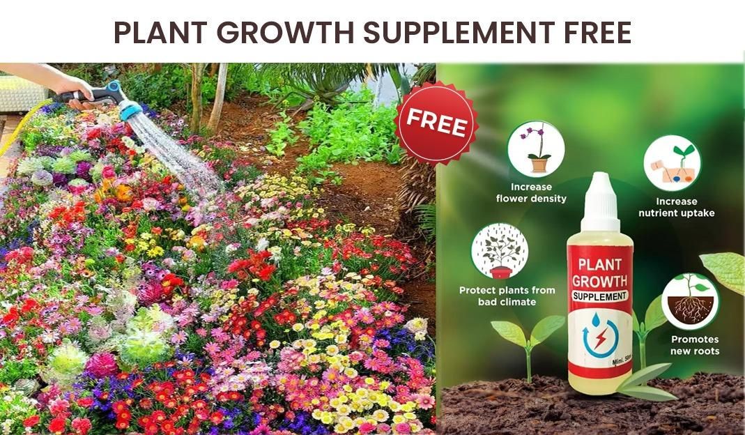 Buy Varieties of Flower Seeds (Pack of 100) And Get Plant Growth Supplement Free bae740-fe