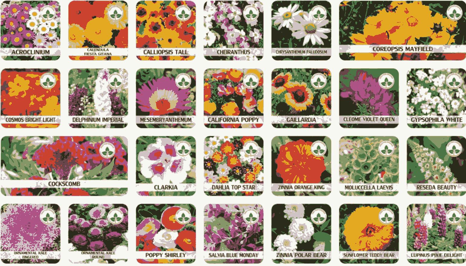 Buy Varieties of Flower Seeds (Pack of 100) And Get Plant Growth Supplement Free bae740-fe